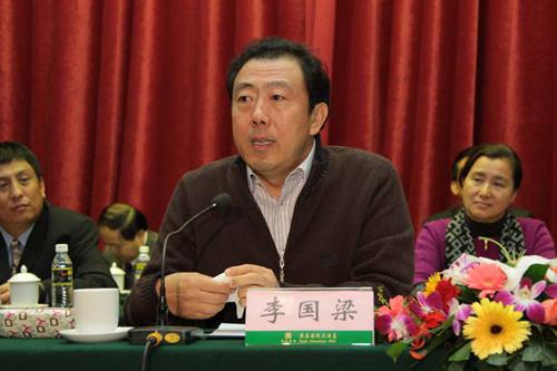 2017两会汽车，2017两会汽车，李书福两会