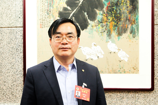 2017两会汽车，2017两会汽车，李书福两会