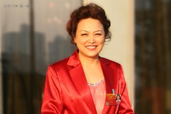 2017两会汽车，2017两会汽车，李书福两会
