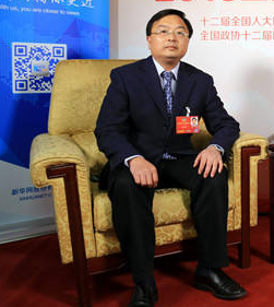 2017两会汽车，2017两会汽车，李书福两会