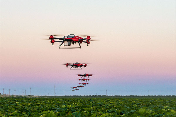 1498459659114004542.jpg 未标题-2.jpg