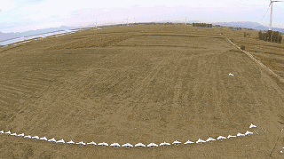 37971499395603130.gif