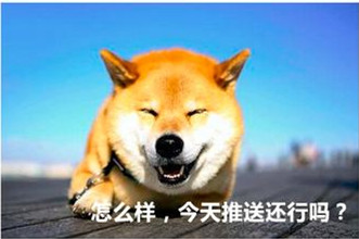 图片15.png