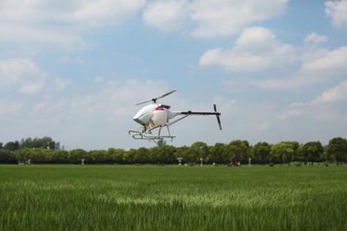 1503641143787063293.jpg 20170825090010895.jpg