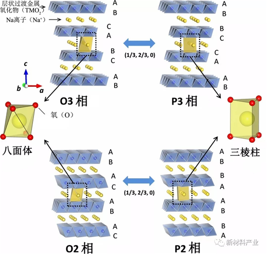 层状过渡金属氧化物的结构示意图