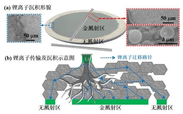 中科院关于非对称结构固态电池研究取得新进展