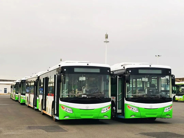 助力建设绿色海滨城市 银隆新能源公交车再度加盟湛江