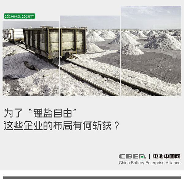 为了“锂盐自由”，这些企业的布局有何斩获？