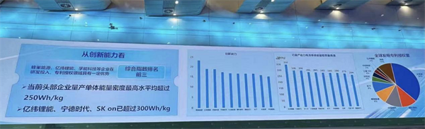 工信部发布2023动力电池产业发展指数 蜂巢能源创新能力排名第一