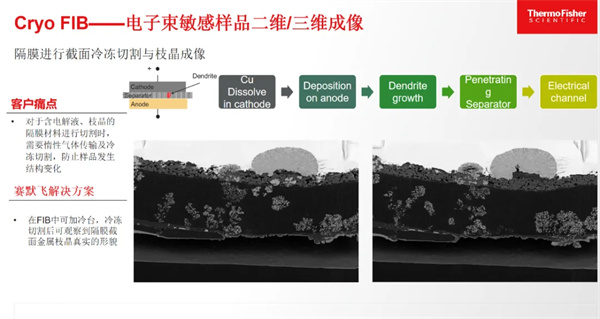 赛默飞王慧敏：前沿表征科技是提高锂电池质量、性能的“王牌利器”