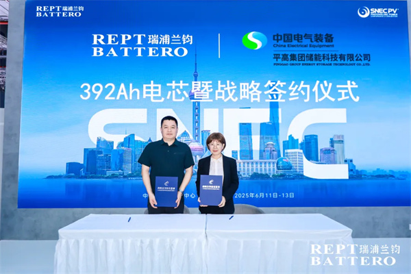 差异化布局+技术引领，瑞浦兰钧跻身新赛道行业前三