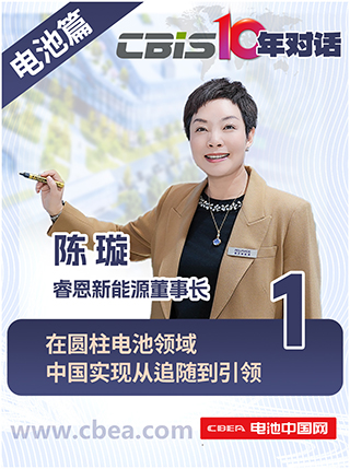  CBIS10年对话 之 睿恩新能源董事长陈璇