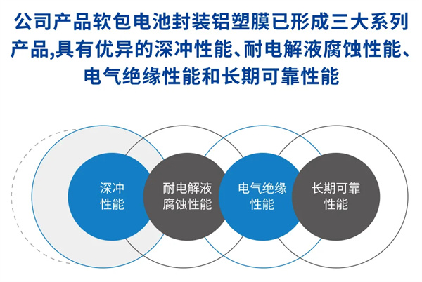 CBIS10周年特邀 | 锂盾新材创始人兼首席技术官夏文进:从电池封装辅材到安全性能基石 CBIS10周年特邀 | 锂盾新材创始人兼首席技术官夏文进:从电池封装辅材到安全性能基石