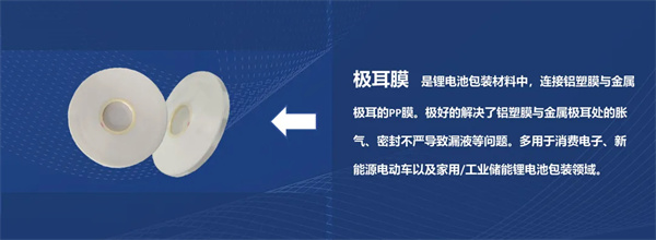 CBIS10周年特邀 | 至信搏远首席技术官高尾直树:破局固态电池封装瓶颈 高性能铝塑膜的创新与挑战 CBIS10周年特邀 | 至信搏远首席技术官高尾直树:破局固态电池封装瓶颈 高性能铝塑膜的创新与挑战
