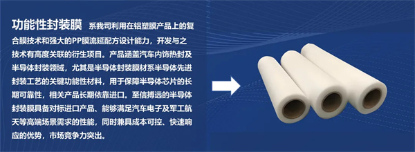 CBIS10周年特邀 | 至信搏远首席技术官高尾直树:破局固态电池封装瓶颈 高性能铝塑膜的创新与挑战 CBIS10周年特邀 | 至信搏远首席技术官高尾直树:破局固态电池封装瓶颈 高性能铝塑膜的创新与挑战