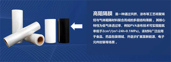 CBIS10周年特邀 | 至信搏远首席技术官高尾直树:破局固态电池封装瓶颈 高性能铝塑膜的创新与挑战 CBIS10周年特邀 | 至信搏远首席技术官高尾直树:破局固态电池封装瓶颈 高性能铝塑膜的创新与挑战