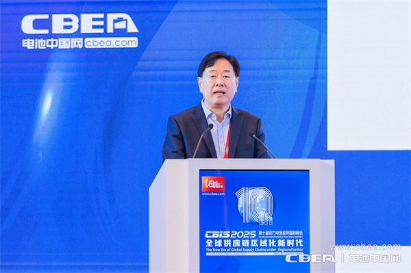 致辞：中国化学与物理电源行业协会秘书长王泽深