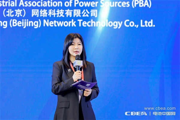 十年筑梦，新程再启！迈向新能源电池全球供应链区域化发展新时代