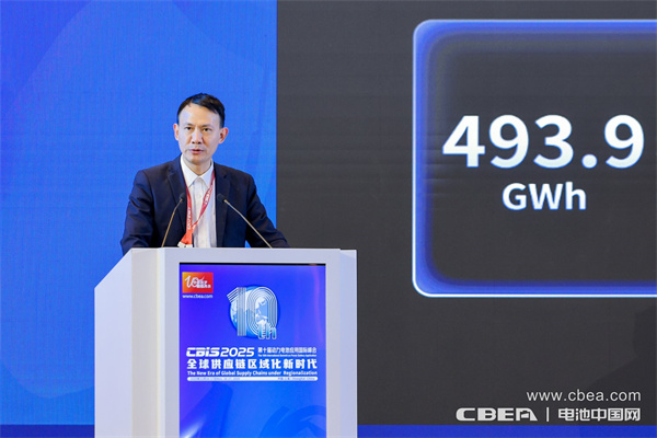 十年筑梦，新程再启！迈向新能源电池全球供应链区域化发展新时代