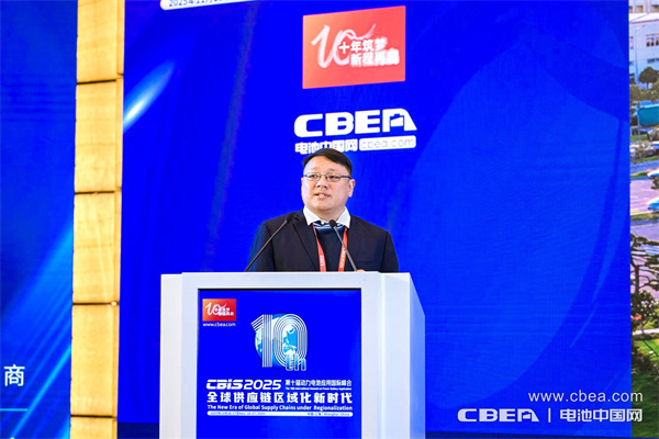 十年筑梦，新程再启！迈向新能源电池全球供应链区域化发展新时代