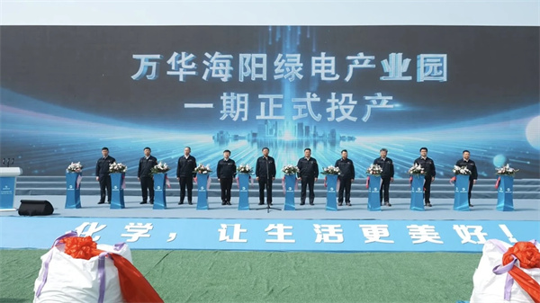 万华化学10万吨第四代磷酸铁锂材料投产