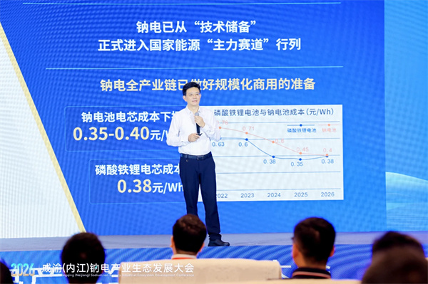 动力分会应邀出席内江钠电产业生态发展大会