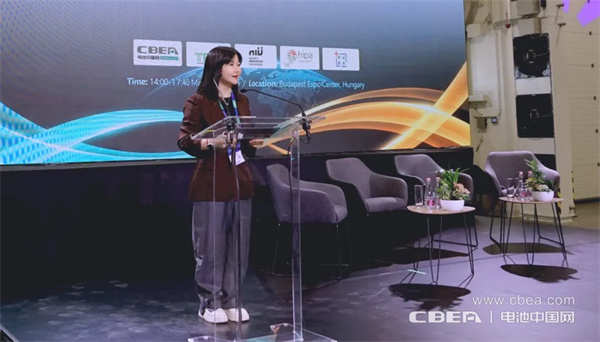 动力分会张雨：CBIS海外论坛搭建中欧合作新桥梁