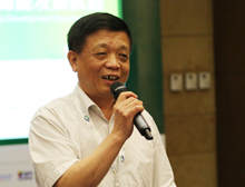 中国电机工程学会能源系统专委会副主任委员 沙益强
