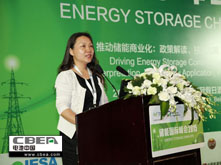 芦红：中国2050年高比例可再生能源发展研究成果分享